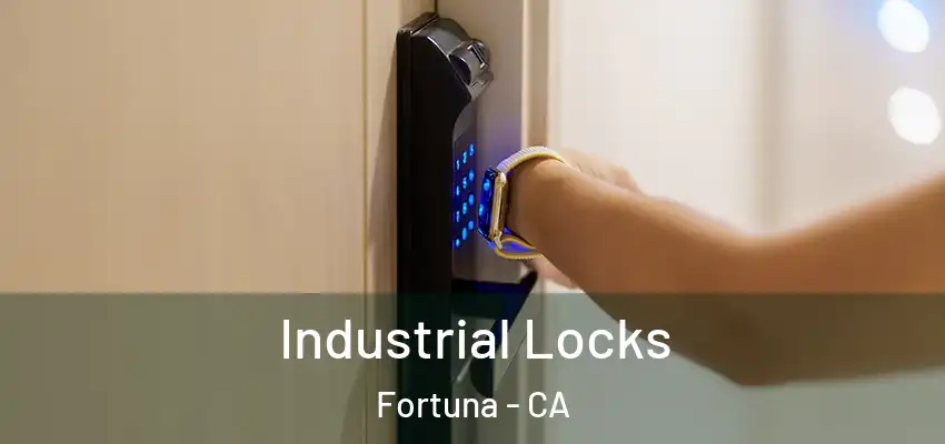  Industrial Locks Fortuna - CA