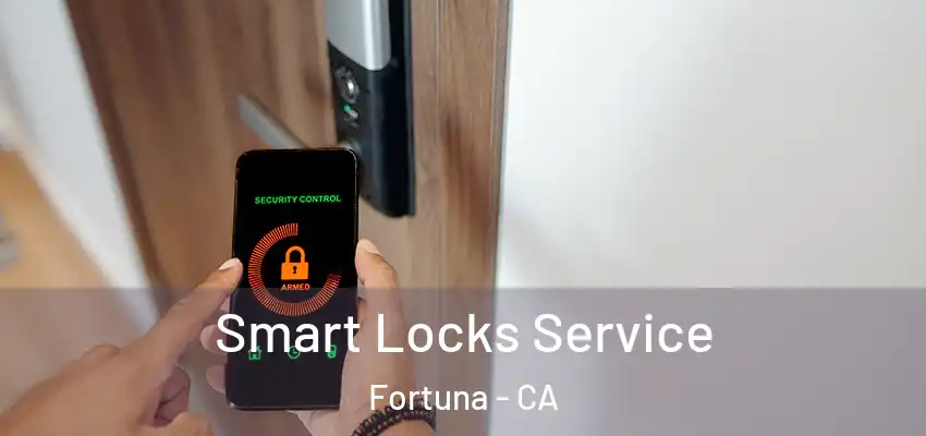  Smart Locks Service Fortuna - CA